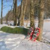 Balade en hiver